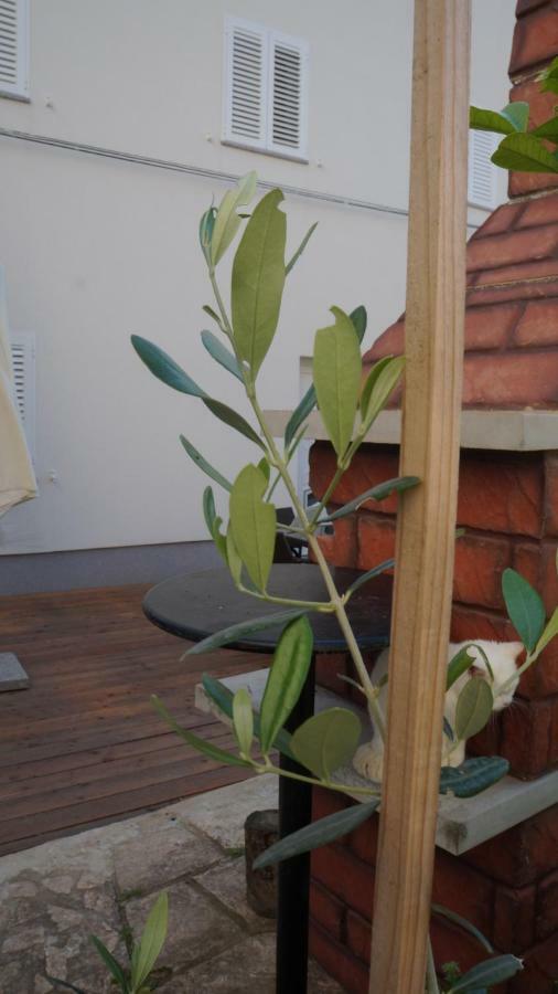 Apartmani Filip Zadar Diklo ภายนอก รูปภาพ